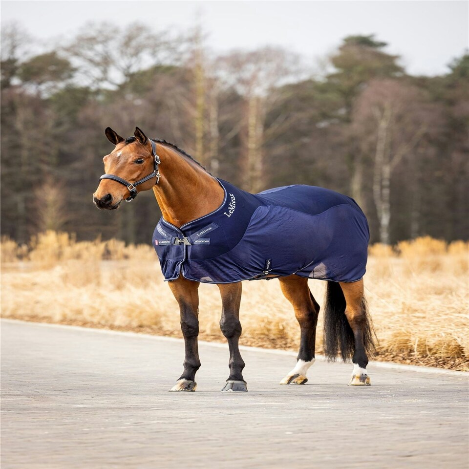 image 1 of LeMieux Kudos Mesh Sports Cooler Rug Black | 6ft 0