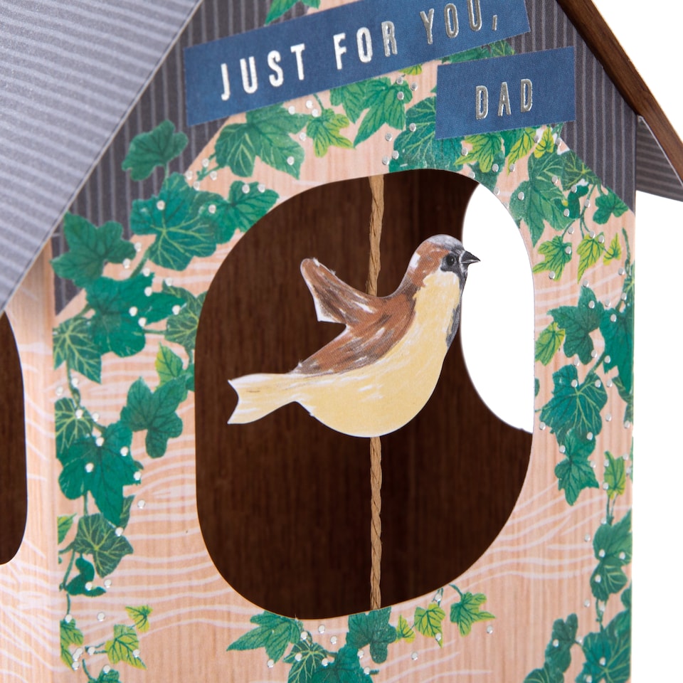 image 1 of Hallmark Father's Day Card For Dad - 3D Pop-Up Birdhouse Design