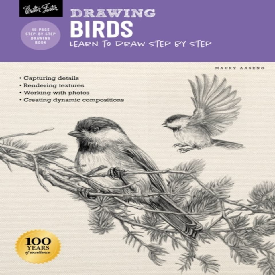 Drawing Birds
