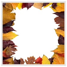 Orange & purple autumn (Picture Frame) White | XS