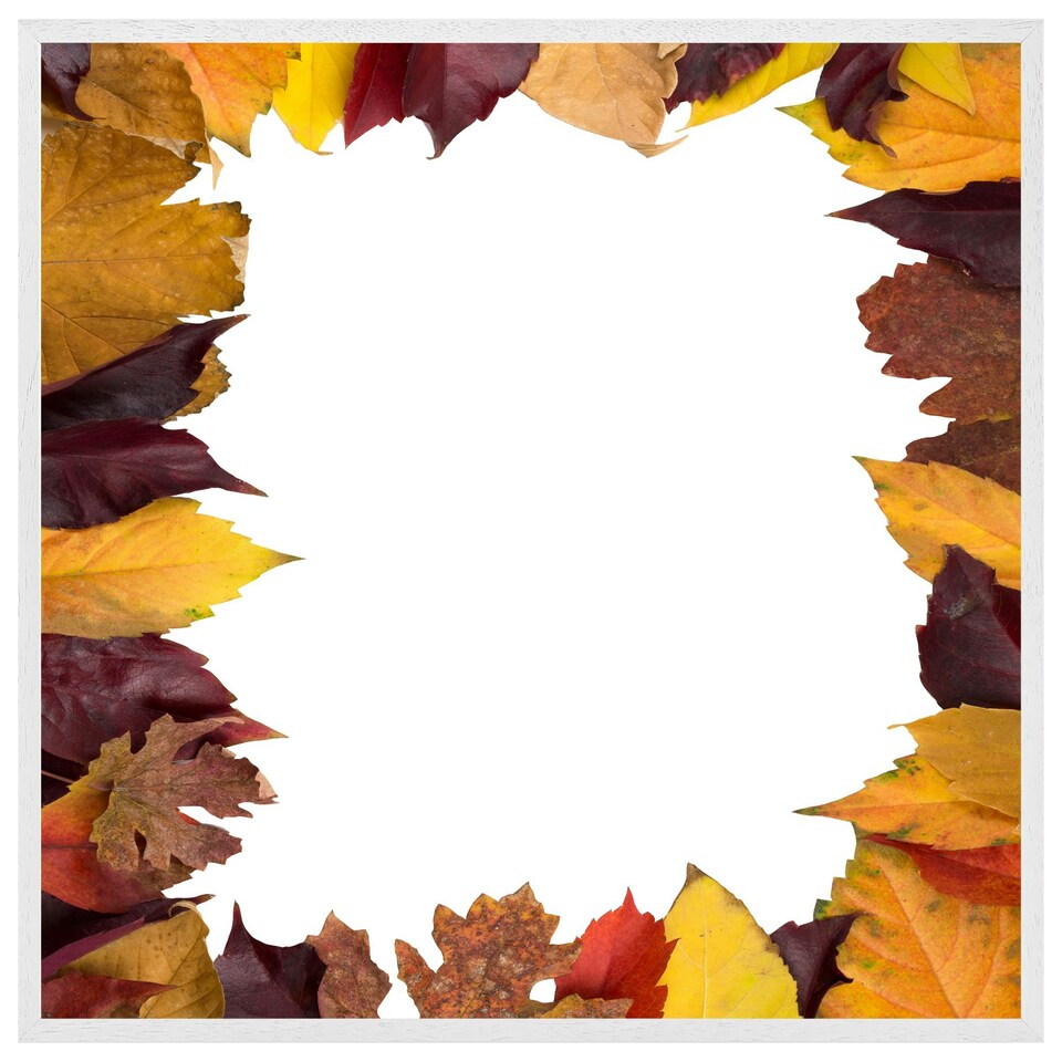image 1 of Orange & purple autumn (Picture Frame) White | XS