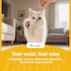 image 8 of PawHut Self Cleaning Cat Litter Tray with Integrated Security Protection