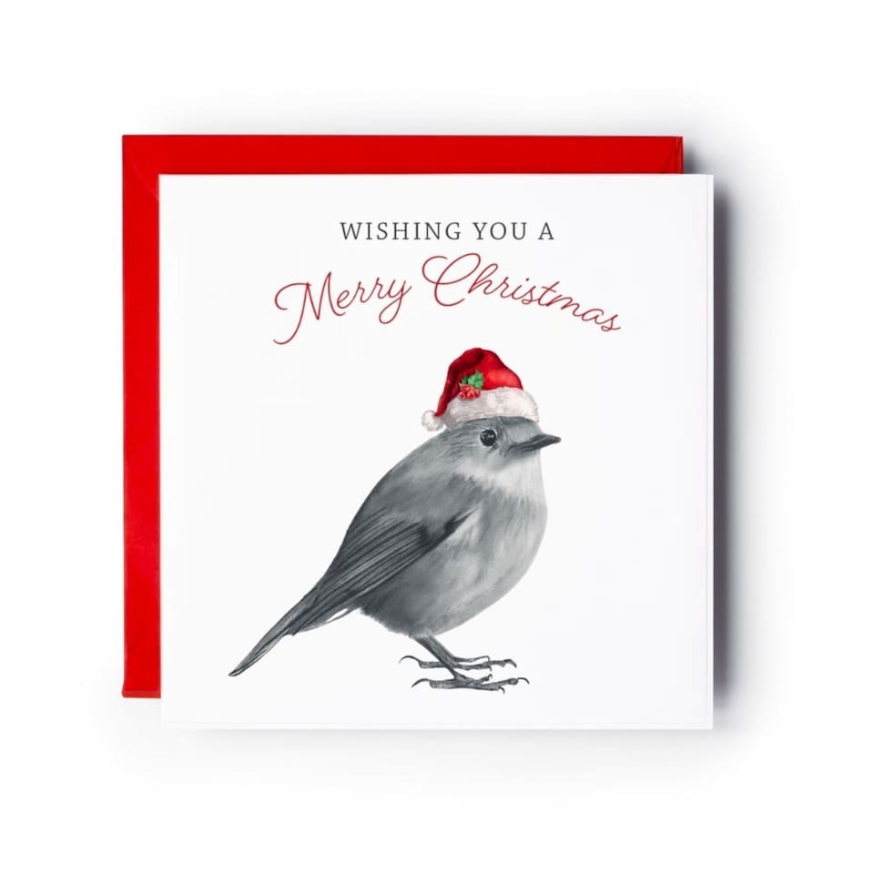 Libra Fine Arts Christmas Robin Card – Cute Robin Festive Christmas ...
