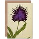 image 1 of Scottish Thistle Flower Birthday Card