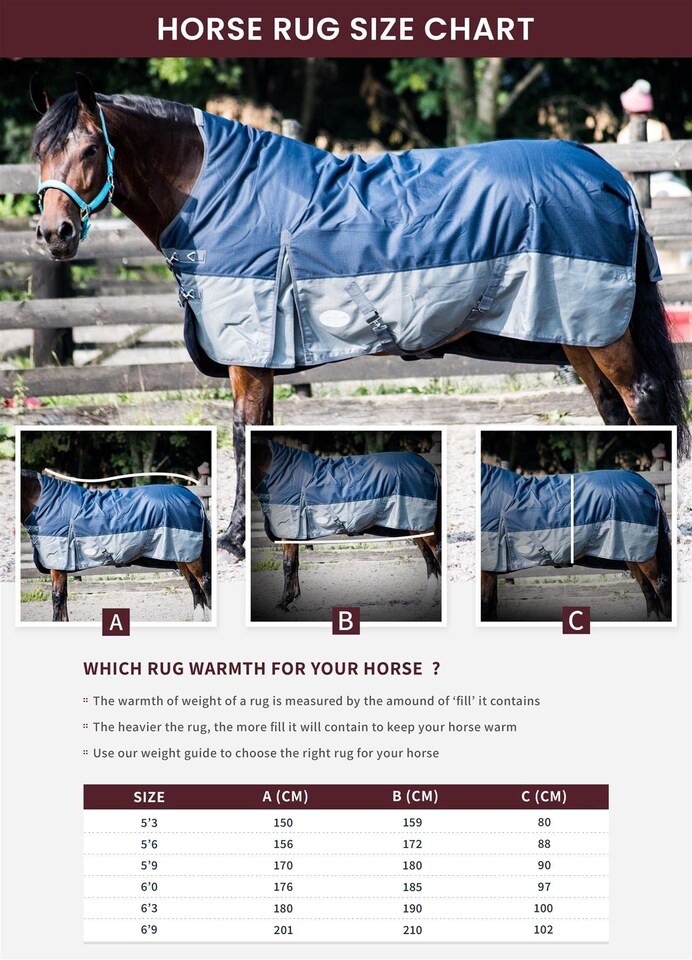 image 1 of eQuitack 600D Waterproof Horse Turnout Rug 0g No Fill Half Neck Purple/Plum 6'9''
