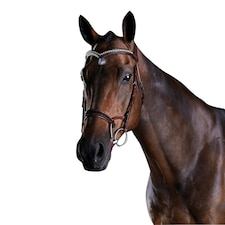Collegiate Comfitec Patent Leather Bridle - Brown - Warmblood