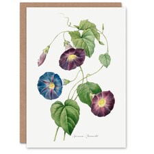 Pierre-Joseph Redouté Art Card Morning Glory Vintage Floral