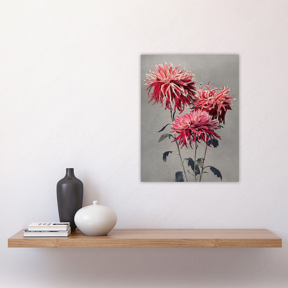 image 1 of Pink Chrysanthemum Flowers Vintage Japan Wall Art Print Kazumasa 12x16"