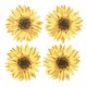 image 1 of Something Different Sunflower Coasters - Yellow - One Size