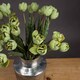 image 3 of Tulip Artificial Flower - Plastic - L8 x W8 x H50 cm - Green