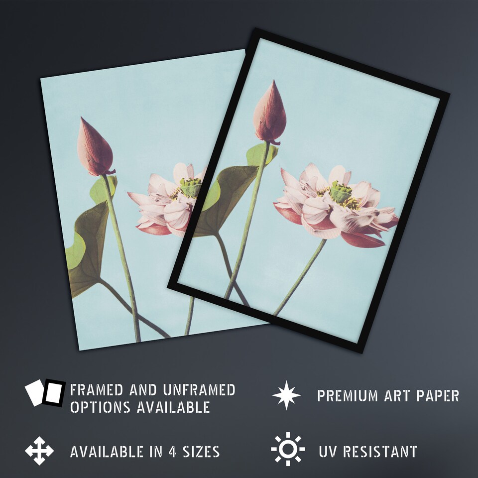 image 1 of Pink Lotus Flower Blooms Vintage Japan Wall Art Print Kazumasa 24x32"