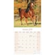 image 3 of Arabian Horses 2026 Calendar | Square Wall Calendar | Animal Gift | Plastic Free Packaging | by Avonside Publishing