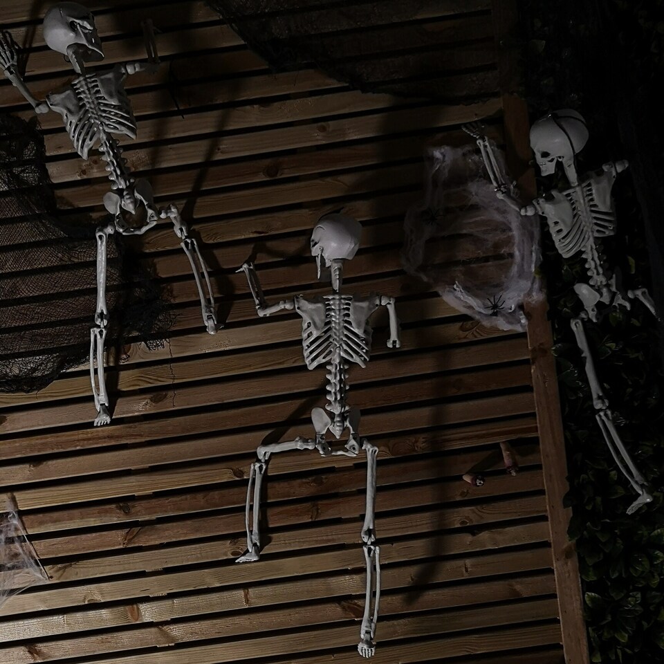 image 1 of 90cm (3ft) Posable Full Body Halloween Skeleton Decoration with Movable Joints