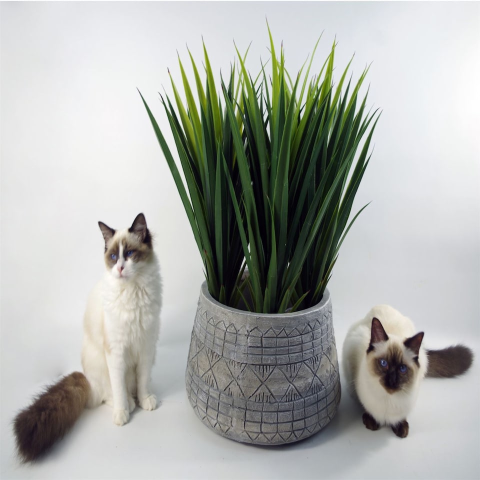 image 1 of Large Planters Plant Pots Large Grey Gliese Embossed Planter 22cm x 37cm Botanik | Grey