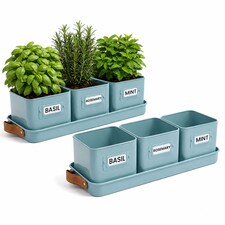 Set of 6 Blue Indoor Herb Pots with Tray