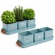 image 1 of Set of 6 Blue Indoor Herb Pots with Tray
