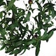 image 6 of Artificial Olive Tree Bush UK Artificial Olive Tree | Green | 4ft