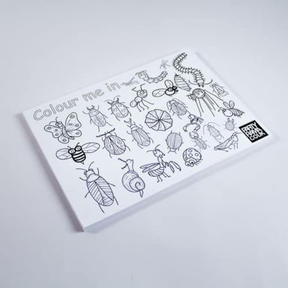 Insects Themed A4 Colouring sheet