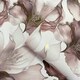 image 7 of Elysian Floral Pink Wallpaper Pink