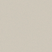Boutique Echo Texture Chalk Wallpaper