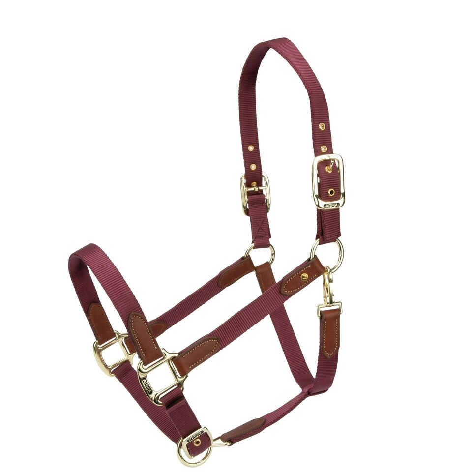 image 1 of ARMA Porto Headcollar Black | Colour: Black Cherry
Size: Pony