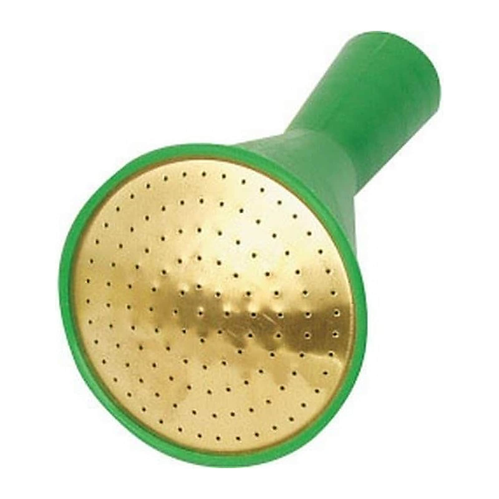 Fine as Rain Watering Can Rose - Green - F3-10