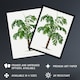image 2 of Martinezia Lindeniana Palm Tree Kerchove Huge Wall Art Poster Print 24X32"