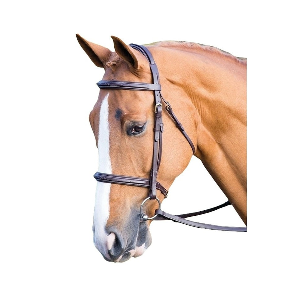 Salisbury Fairford Leather Horse Bridle - Australian Nut - Cob