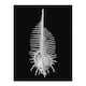 image 3 of Ernst Haeckel Framed Wall Art Print Murex Sea Shell Sketch on Black Home Décor