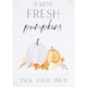 image 3 of Something Different Farm Fresh Pumpkins Metal Plaque - White/Black/Orange - One Size