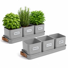 Plants, Seeds & Bulbs