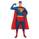 image 1 of Superman Mens Costume - Blue/Red - M M