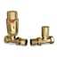 Polished Brass