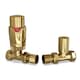 image 1 of Stirling Bold - Polished Brass Thermostatic Radiator Valve & Lockshield Straight 15mm