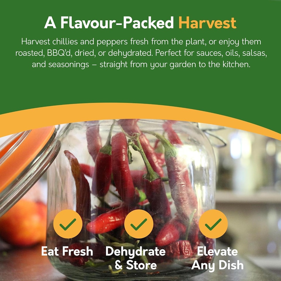 image 1 of Pronto Seed Chilli & Sweet Pepper Seeds Variety Pack – 12 Types, 110 Seeds for Home Growing