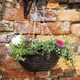 image 5 of Marco Paul Dark Brown Rattan Hanging Basket 12" Brown