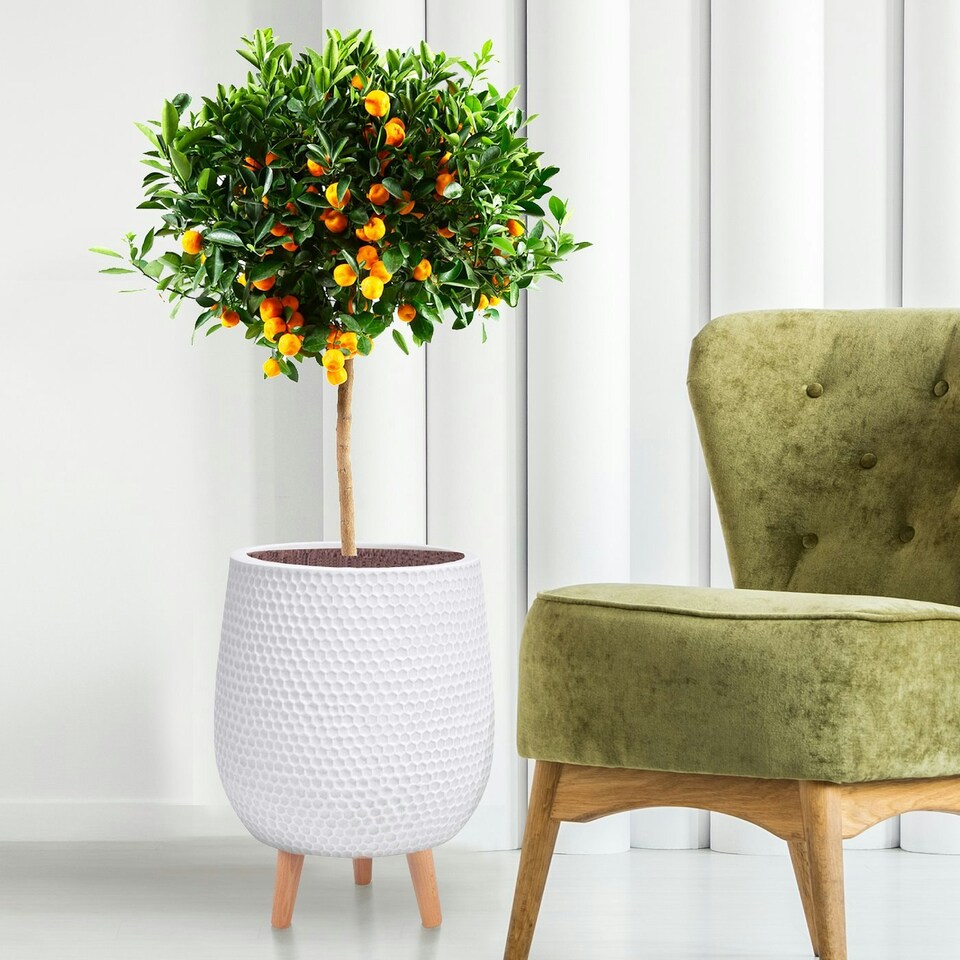 image 1 of Honeycomb Style White Planter with Legs, Round Indoor Plant Pot Stand for Indoor Plants by Idealist Lite D30 H43 cm, 19L