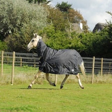 Rhinegold Elite Full Neck Montpelier Rug Black | Colour: Black/White Check
Size: 6ft 6