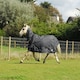 image 1 of Rhinegold Elite Full Neck Montpelier Rug Black | Colour: Black/White Check
Size: 6ft 6