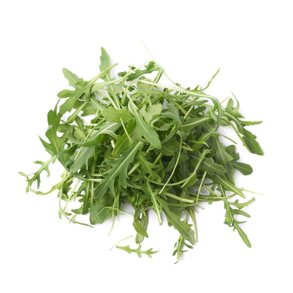image 1 of Kew Seeds Arugula (Eruca Sativa) Hardy Annual Salad Leaf Tangy Peppery Flavor Containers 600 Seeds