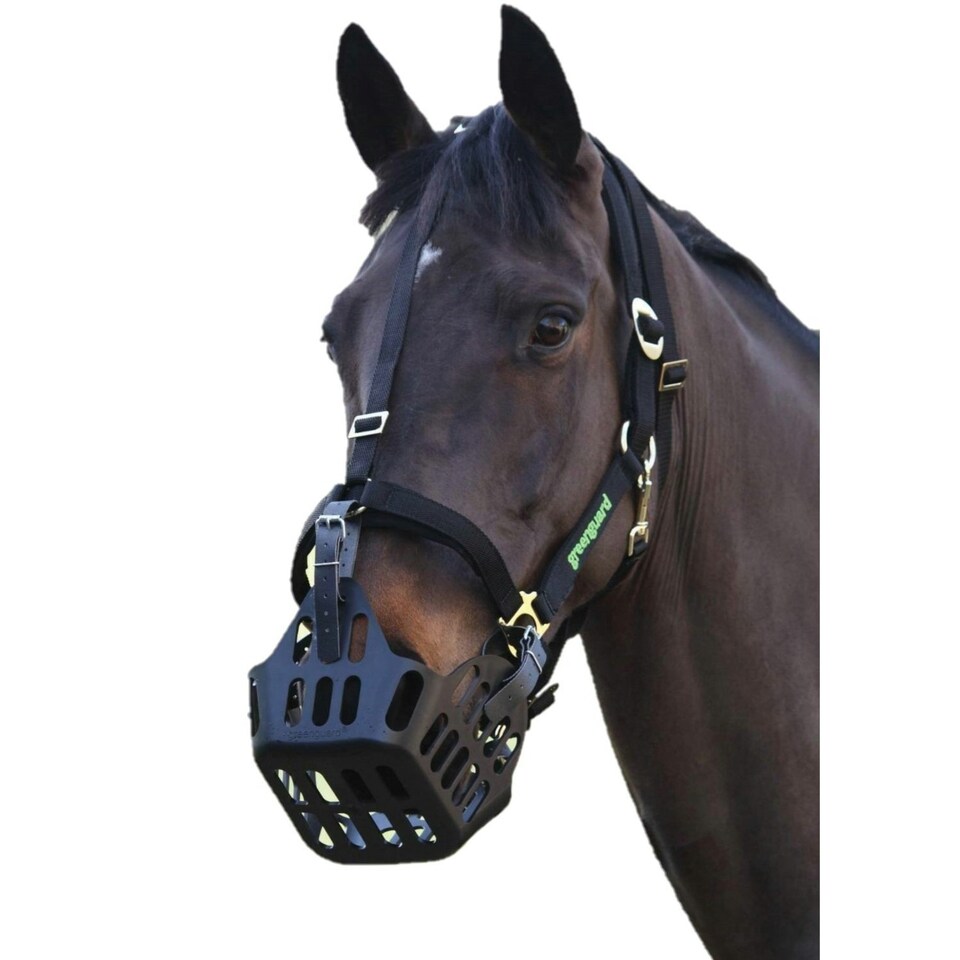 GreenGuard Horse Headcollar - Black - Pony