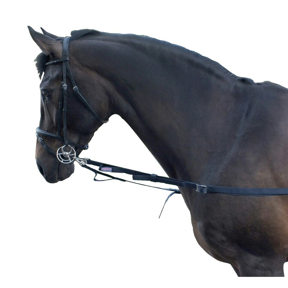 image 1 of Whitaker Elasticated Side Reins For Horses Equine Navy