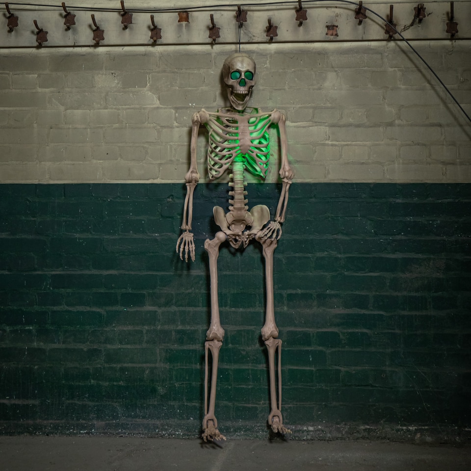 image 1 of 5ft (152cm) Battery Powered Light up Halloween Skeleton with Poseable Joints & Green LEDs