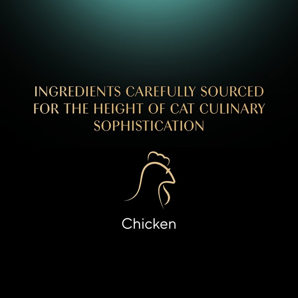 image 1 of Sheba Fillets Cat Food Tray With Chicken In Gravy 60g (Pack of 30)