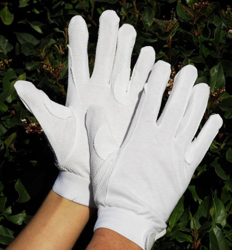image 1 of Rhinegold Cotton Pimple Horse Riding Gloves | Blue | M