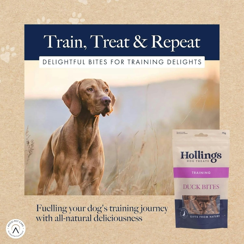 image 1 of Hollings Duck Bites Dog Training Treats, Delicious Duck Treats for Adult Dogs, High in Protein & Made with 100% Natural Ingredients (75g)