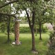 image 2 of Stainless Steel Bird Seed Feeder