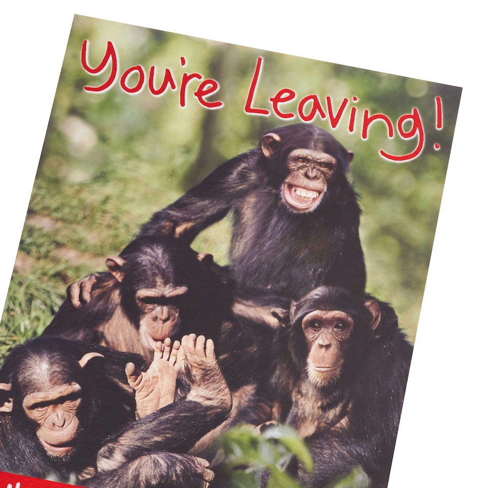 image 1 of Goodbye Card - You'Re Leaving Chimps