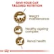 image 7 of Royal Canin Ageing Sterilised 12+ 4KG