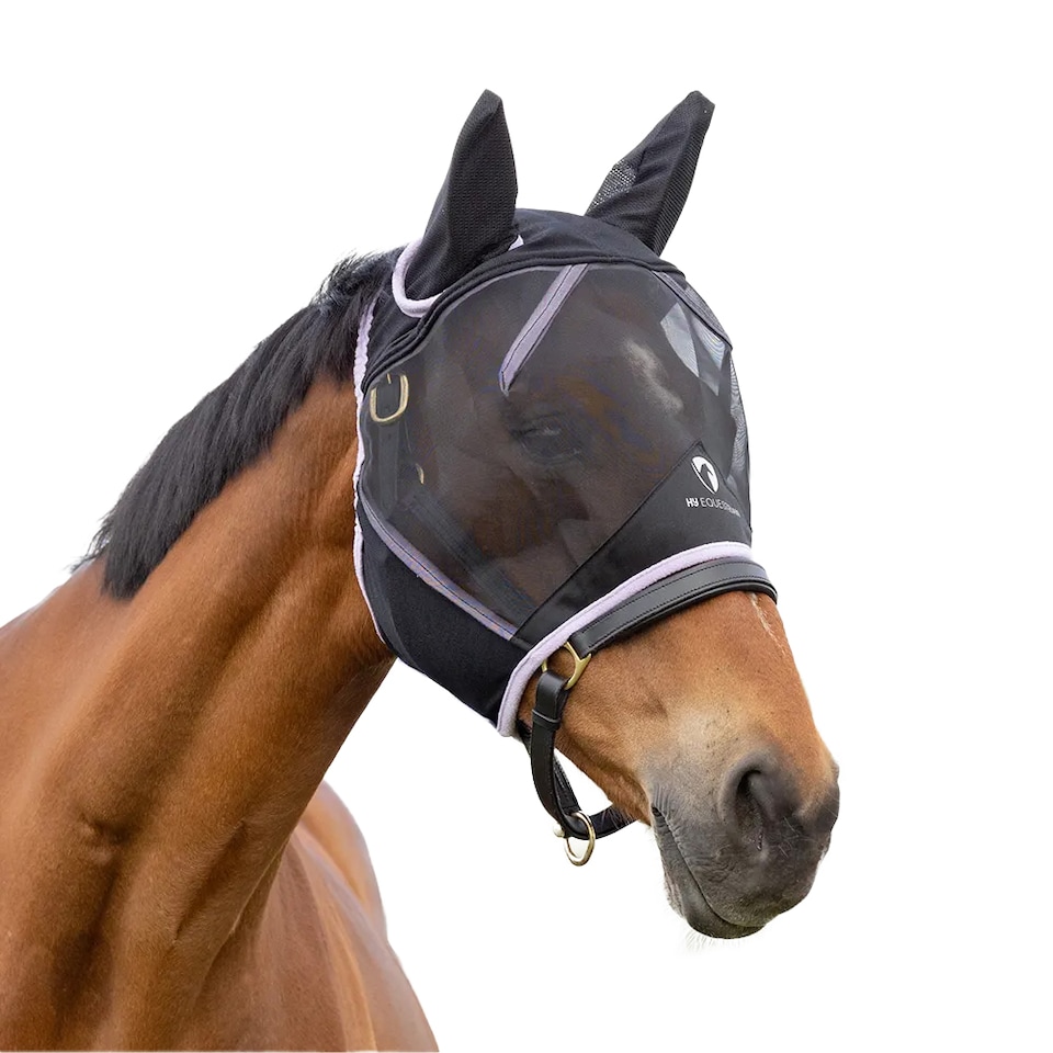 image 1 of Hy Equestrian Mesh Horse Half Fly Mask With Ears | Black | Black/Lilac | Pony | 1